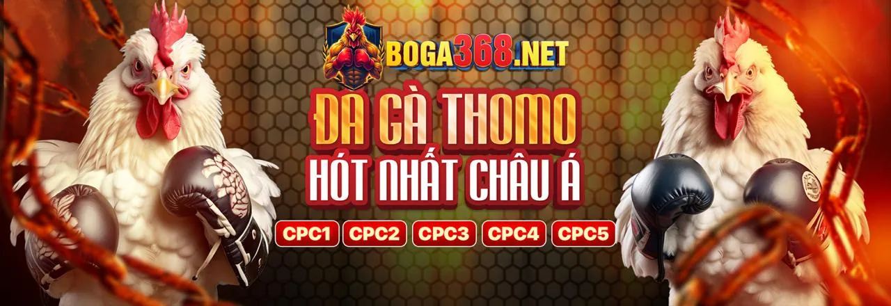 Sảnh Thể Thao 2bong Đá Gà Đỉnh Cao